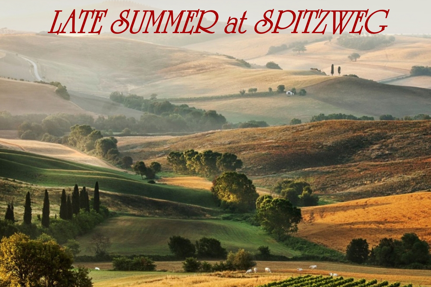 Spaetsommer_Toscana_Bild_Text_3-2_engl_Late-summer