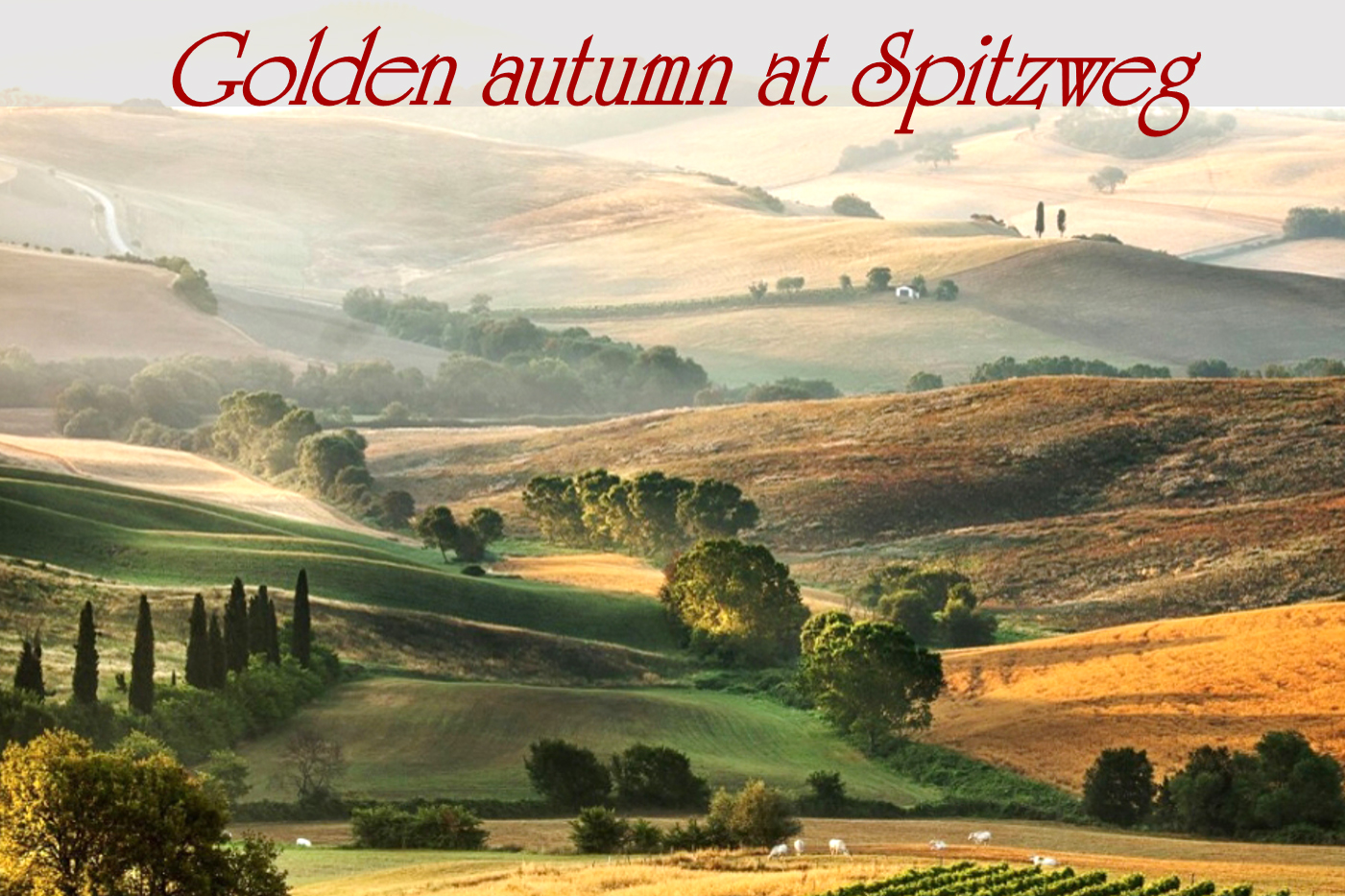 Bild_Goldener-Herbst_engl_3-2