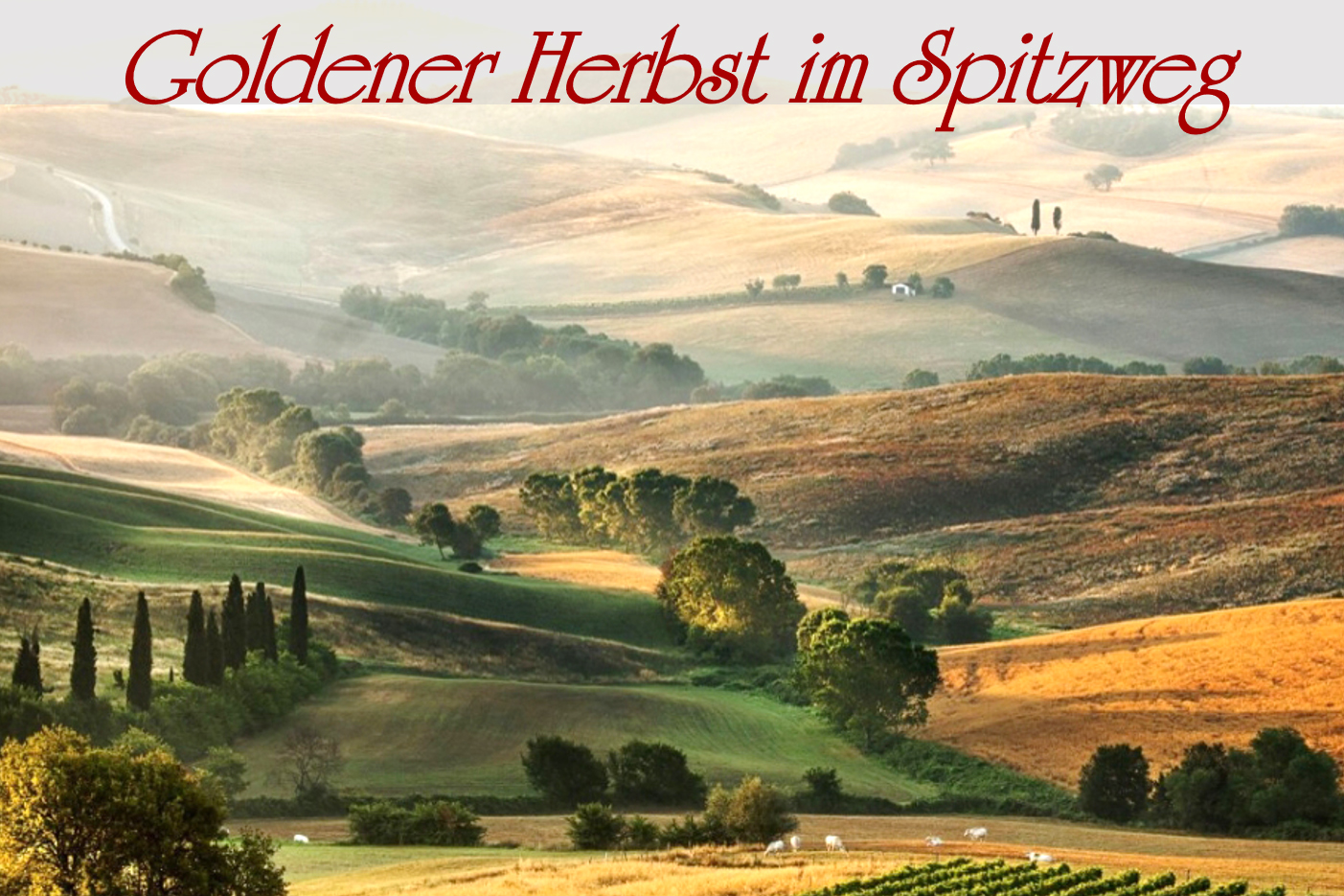 Goldener-Herbst_3-2